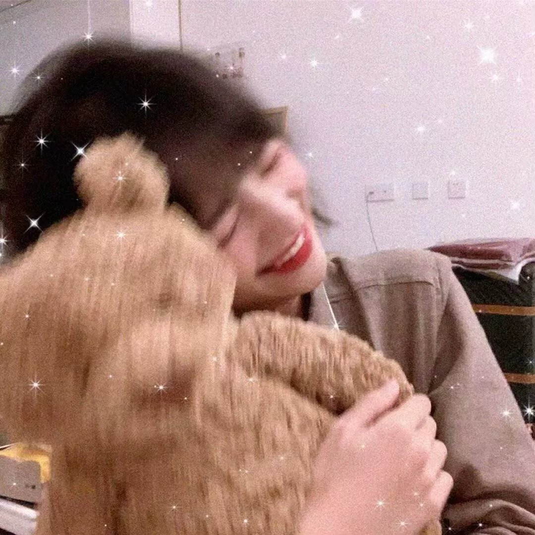 傅先生今天又在哄老婆